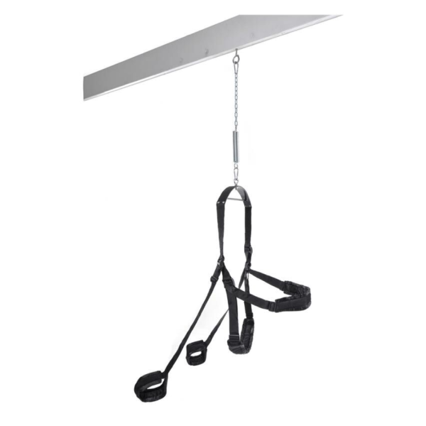 FETISH FANTASY SERIES - COLUMPIO ERÓTICO FANTASY SWING NEGRO