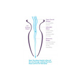 Anal Fantasy Elite - Plug Anal Mega Anal Gaper Transparente |