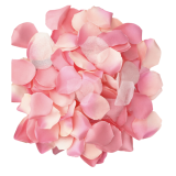 DIABLO PICANTE - 100 ROSA BLÜTENBLTTER