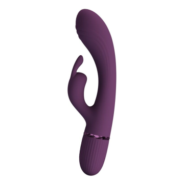 PRETTY LOVE - ROCCO VIBRATEUR LAPIN RECHARGEABLE 10 FONCTIONS VIOLET