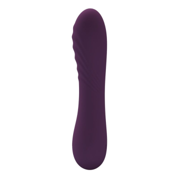 PRETTY LOVE - ALEXISROSE RECHARGEABLE VIBRATOR 10 FUNCTIONS PURPLE