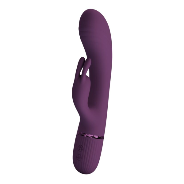 PRETTY LOVE - ROCCO RECHARGEABLE RABBIT VIBRATOR 10 FUNCTIONS PURPLE