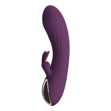PRETTY LOVE - LANDYN VIBRATEUR LAPIN RECHARGEABLE 10 FONCTIONS VIOLET