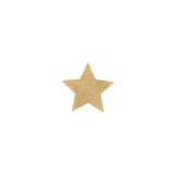 BIJOUX - INDISCRETS FLASH GOLDEN STAR NIPPLE COVERS - BIJOUX FLASH CO…
