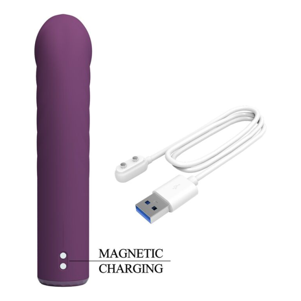 PRETTY LOVE - RYLAND RECHARGEABLE VIBRATOR 10 FUNCTIONS PURPLE