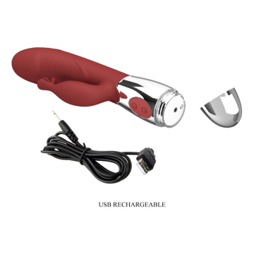 PRETTY LOVE - VIBRATEUR LAPIN EN PLANTES DE ROSE 30 FONCTIONS RECHARGEABLE USB ROUGE