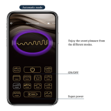 PRETTY LOVE – SCHMETTERLINGS-APP-STEUERUNG FÜR DEN PANTY-MASSAGER IN PINK