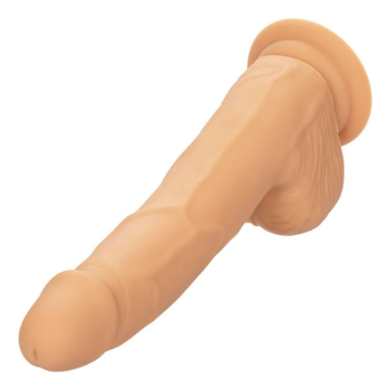 CALEXOTICS - SILICONE STUDS 20.32 CM SKIN