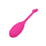 Pretty Love - Oeuf Vibrant Rose Fisher Contrôlé Par Application |