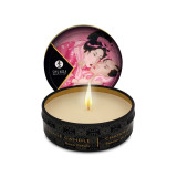 Shunga - Mini Caress By Candlelight Display Velas Masaje 24 Uds |