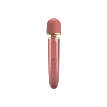 Pretty Love - Masseur 7 Modes De Vibration Rose | Vybes.it