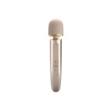 Pretty Love - Massager 7 Vibration Modes Champagne | Vybes.it