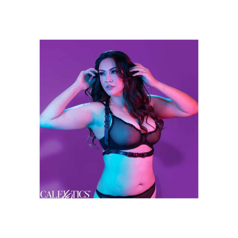 Calexotics - Euphoria Arnés Hatler Con Hebilla Talla Grande Negro |