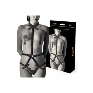 Body harness